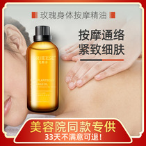 Rose Essential Oils Body Massage Oil 100ml Whole body Meridian Skincare Essential Oils Scraping Open Back Pushback Push Oil