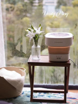 Daewoo Mini Washing Machine FM01 Underwear Briefs Wash Socks Theorizer Folding Small Sloth Special Cleaner