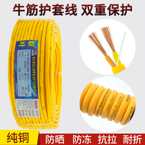 Pure copper Outdoor Wire and Cable 2 core 3 core 0 75 1 1 5 2 5 4 square beef tendon soft power cord sheath