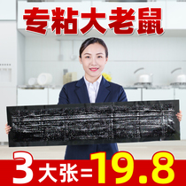 Mouse paste strong mouse board to kill mouse glue household medicine rat artifact