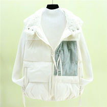 Short 2021 new autumn and winter Korean version of warm lamb wool waistcoat vest jacket down cotton vest womens trend