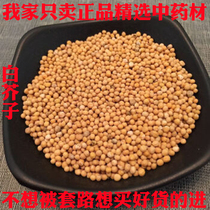 Chinese herbal medicine selection sulfur-free pharmaceutical seeds of Brassica alba 500g G can be fried white mustard seed mustard progeny play seeds of Brassica alba powder