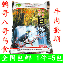 Yunfeng bird eating starlings bird food feed 5 bags