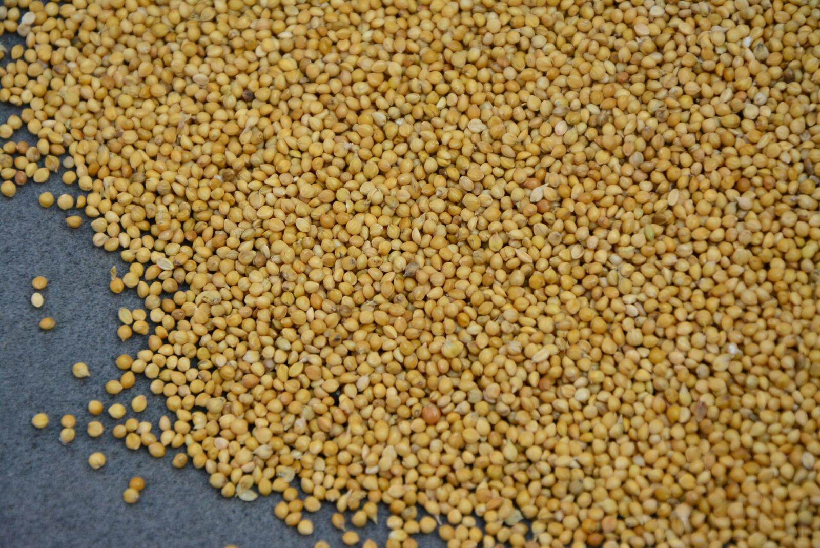 带壳小米虎皮牡丹玄凤文鸟鹦鹉鸟食黄谷子鸟粮鸟饲料1件包邮