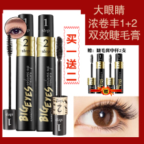Katsulan big eyes mascara waterproof slim roll teething without fainting encryption lengthened thick and dense volumes 1 2
