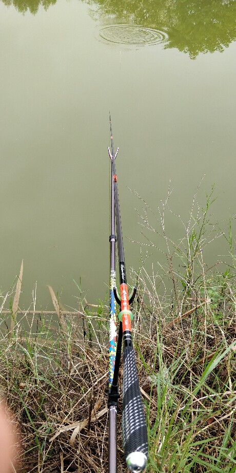 细与韧的结合富源百川品牌新款修道钓鱼竿体验