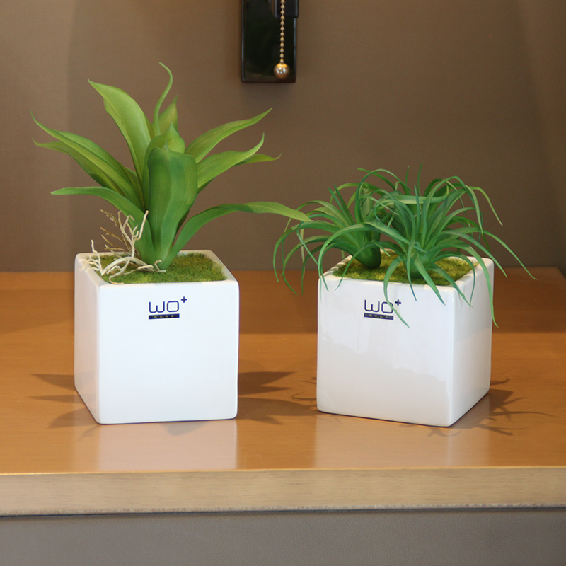 The Send + high simulation fleshy green plant pot with ceramic flower pot fresh Nordic wind bookshelf sink decorative furnishing articles