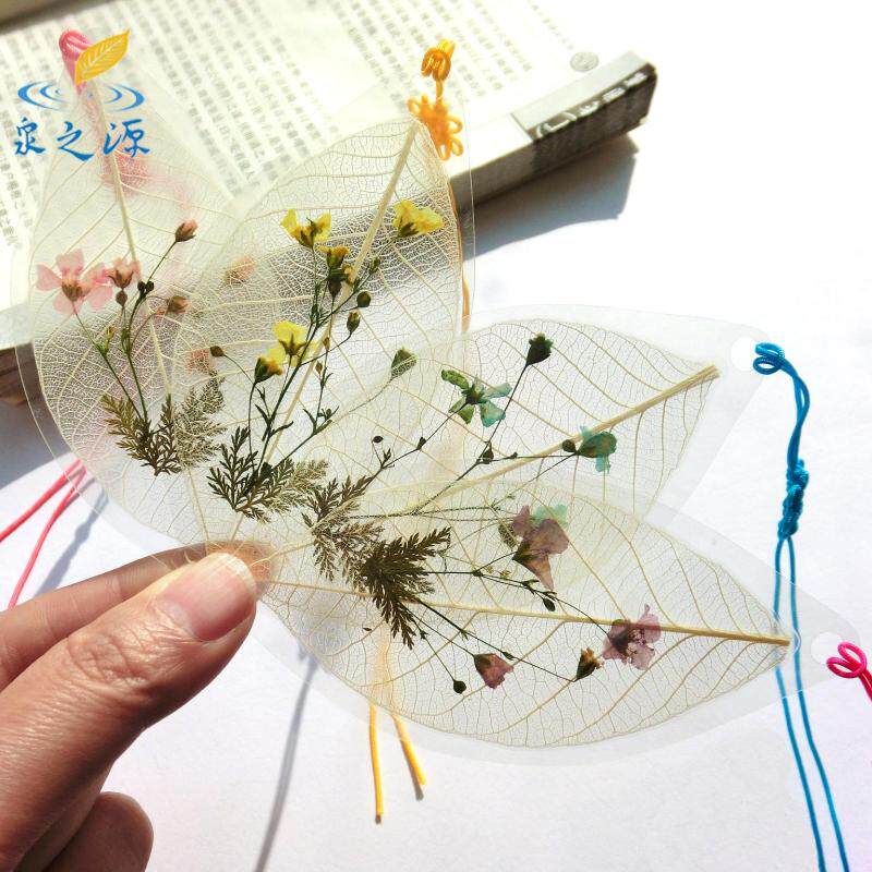 霞草押花叶脉书签天然干花满天星永生花学生文具礼品节日新年原创