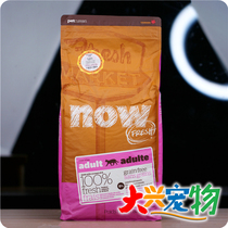 Canada NOW no grain fresh meat for Turkey salmon ● Gastrointestinal protector god into cat cat food 16 pounds