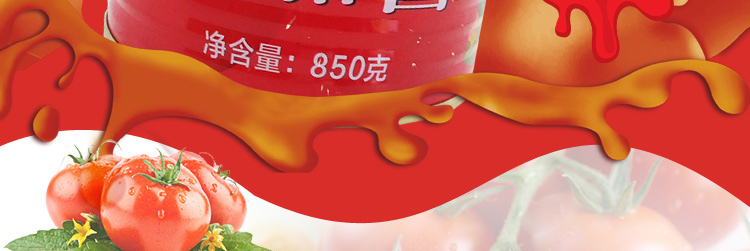 【零添加】新疆天山红番茄酱850克