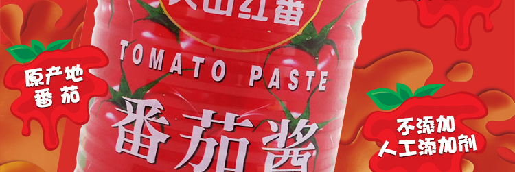 【零添加】新疆天山红番茄酱850克