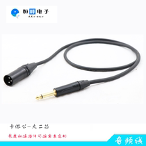 Large Two Core 6 35 Public to the Cannon Public Cannon Public to the 6 5 Microphone Audio Line Tuning Bench Power Amplifier Audio Line