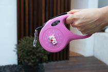 Spot Fleishy cooperation pet dog leash retractable leash fashion and cute