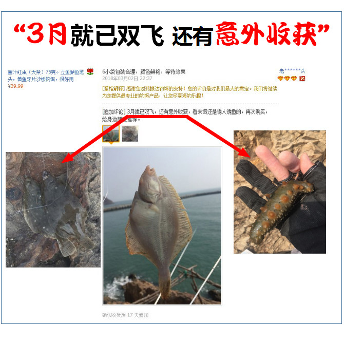 蜜汁红虫海血虫赤虫鲈鱼立鱼黄鱼鳗鱼沙板黑鲷鱼好6包邮海钓鱼饵_7折