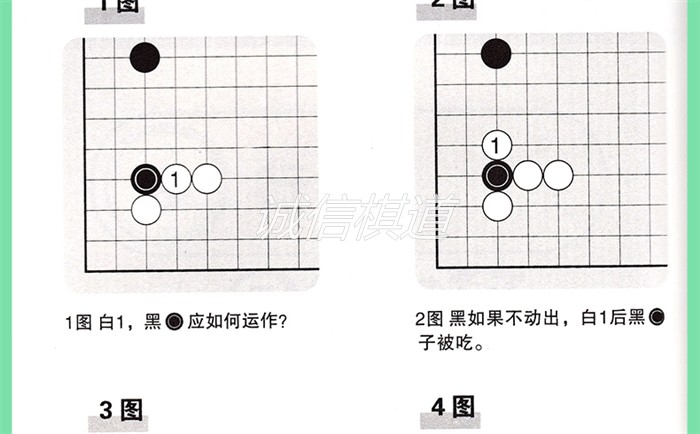 21世紀の新概念速成囲碁基礎編（上中下巻計3冊）カード速成囲碁を活性化する,タオバオ代行-チャイナトレーディング