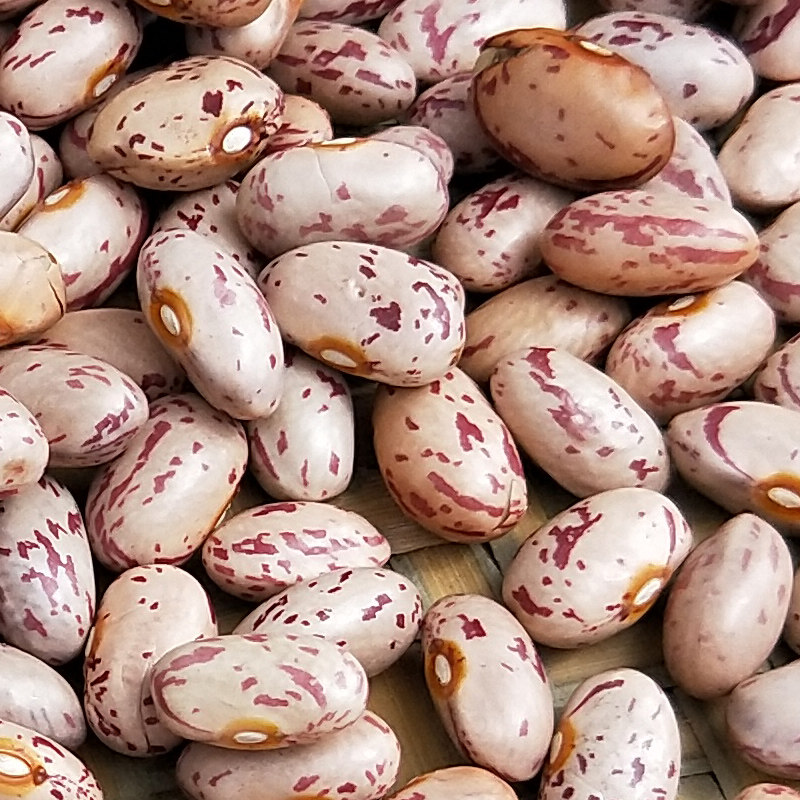 农家花豆, 一份500克,买两份包邮,或者和其它包邮