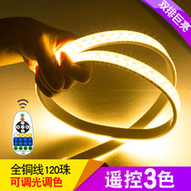 Double row light with three-color dimming led super outdoor waterproof discoloration remote control living room ceiling line bright and warm white light