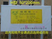 Qingdao Marine Thin Layer Chromatography Silicone Plate H Type 50 * 200mm thin layer silica gel H plate 5 * 20cm Invoicing
