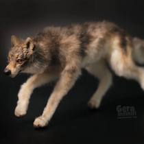 (spot) Russian artist hand for realistic grey wolf white wolf disposable doll 1 6BJD