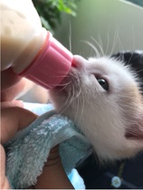 380g cans of small cat milk powder Milk Powder Pet Milk Powder has just been born a young cat milk powder animal