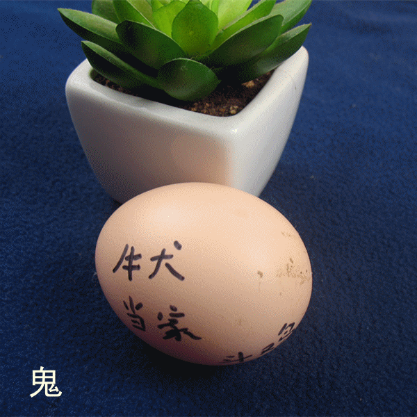 【包邮10个装】斗鸡蛋战斗鸡蛋斗鸡受精蛋配种蛋打架鸡种蛋孵化蛋