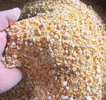5 kg) Chicken feed crushed corn kernels crushed corn residue crushed corn fed chicken food fishing and nesting