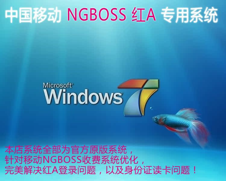 China Mobile NGBOSS Computer Remote System Installation of WIN7 32-bit System Red A System NGBOSS System