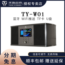 Winner Tianyi TY-W01 Hi-fi Wireless Digital Speaker Smart Speaker