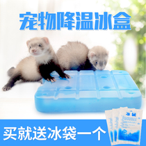 Ferret Cooling Ice Box Pet Mink Hamster Hamster Hamster Dragon Cat Ice Crystal Ice Crystal Ice Bed Heat Dissipation Board Summer Heatstroke
