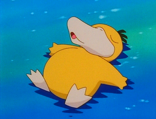 宠物小精灵里面,小王子最喜欢可达鸭啦