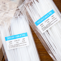 100 loaded buckle straps Plastic wire with fixed ties pull buckle self-locked nylon zazza wire