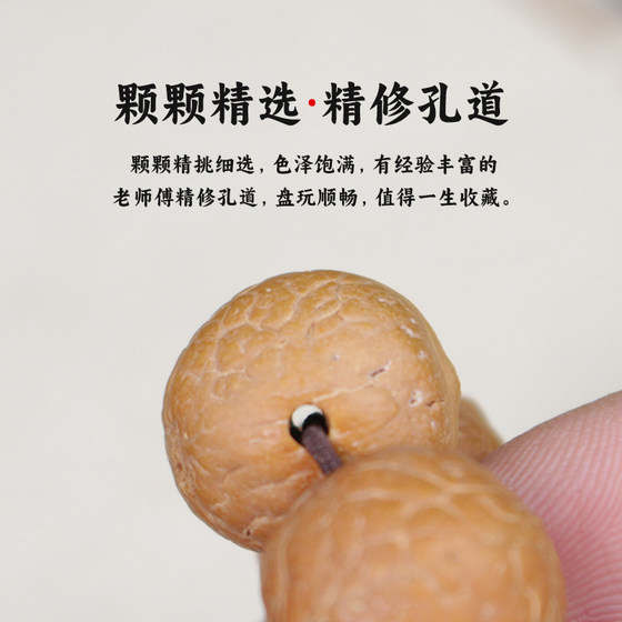 피닉스 아이 보디디 불교 구슬 네팔 파파야 씨앗 붉은 노란색 피부 바디 씨앗 애리조나 팔찌 남성과 여성 피닉스 아이 보디디 불교 구슬 네팔 파파야 씨앗 붉은 노란색 피부 바디 씨앗 애리조나 팔찌 남성과 여성