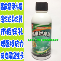 Turtle medicine rotten skin rotten body Brazil South Stone Turtle snapping turtle main cure rot armor rotten body rotten claws scabies