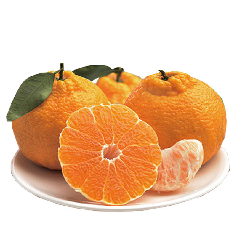 新鲜蜜橘蜜桔丑橘子10斤 25元券 券后价  22.