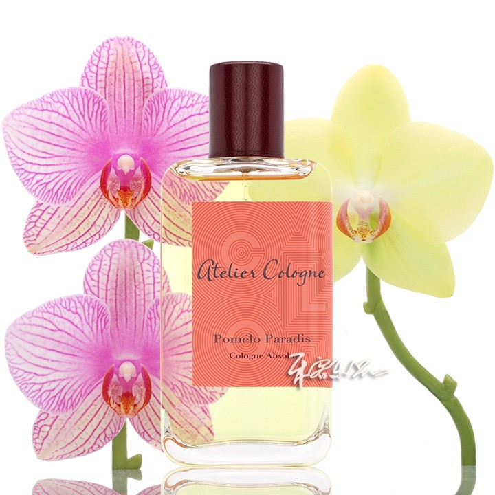 ateliercologne欧珑西柚天堂情柚独钟香水pomeloparadis分装试管小样