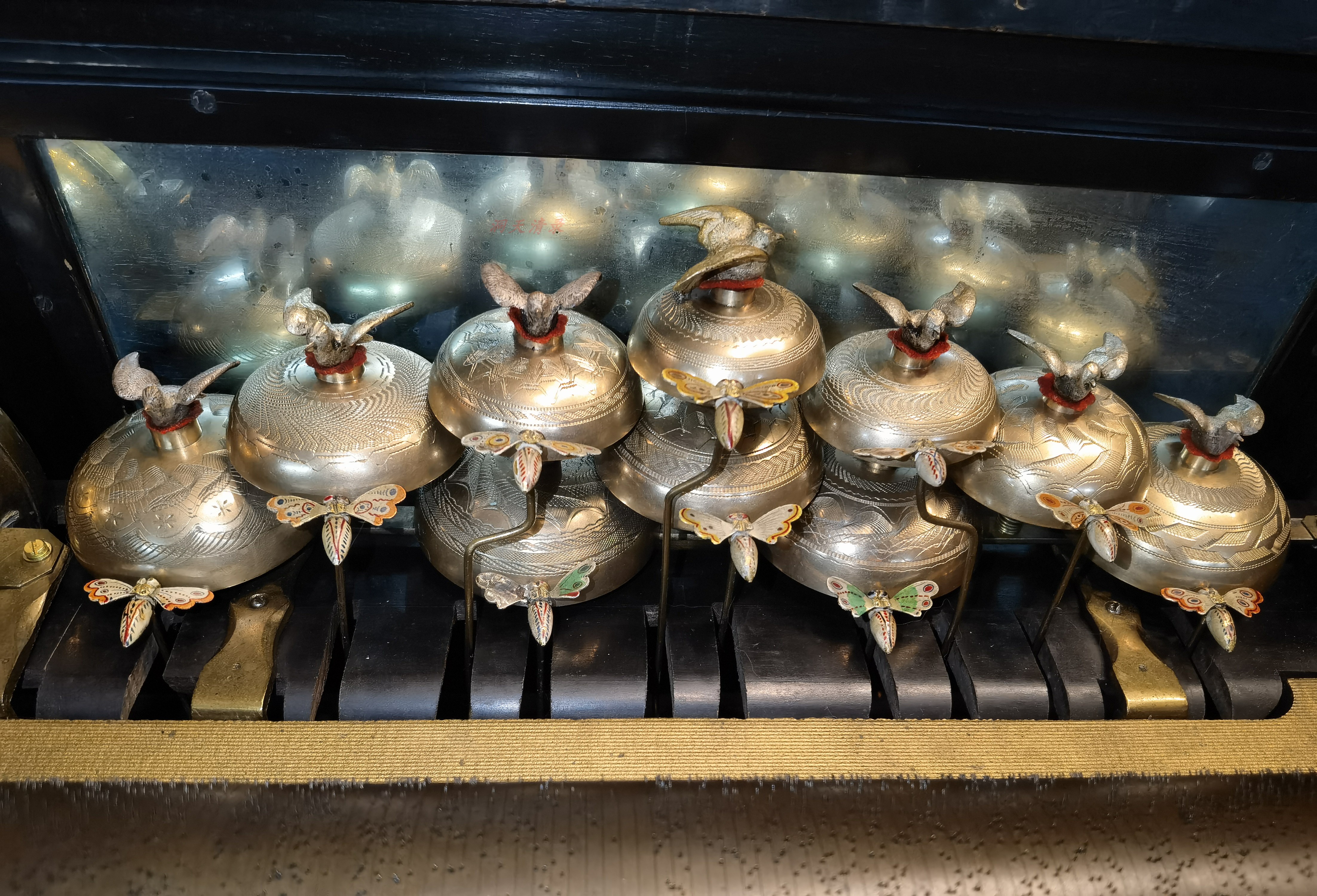 IMG_20220628_200847_D COPY .JPG