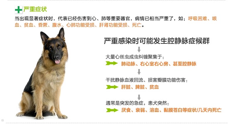 【整盒6粒】犬心保体内驱虫药大型犬狗预防心丝虫病蛔虫钩虫