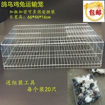 Chi Ang chicken pigeon rabbit bird transport cage Trading turnover cage Multi-purpose assembly cage Bold encrypted pigeon bird cage