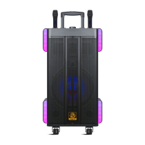 Lion music lever speaker 12 inch square dance audio high volume outdoor K song Bluetooth mobile crown one