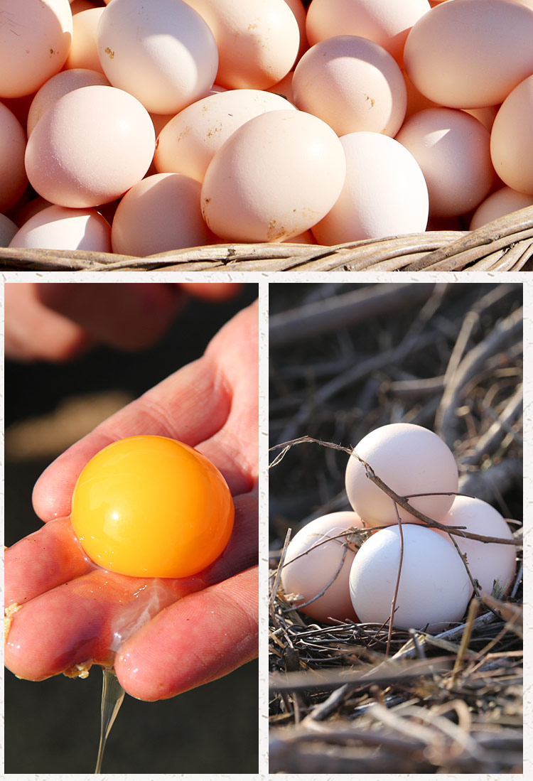 【图】密农人家土鸡蛋农家散养新鲜柴鸡蛋正宗农村笨鸡蛋30枚鸡蛋-不