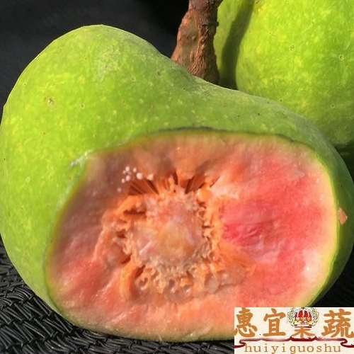 桂木果 新鲜包邮顺丰3斤装 白/红桂木果 狗果 酸酸甜甜 惠宜果蔬