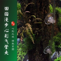 Fields Garden Stroll Heart-shaped Oxygen Tracheal Chuck CO2 carbon dioxide wind pipe PU tube fixed thermometer suction cup