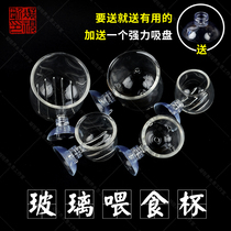 Ultra-white tank glass feeder Lamp family fish red worm cup Feeding fish food feeding cup Shrimp cylinder grass cylinder nematode fish food feed
