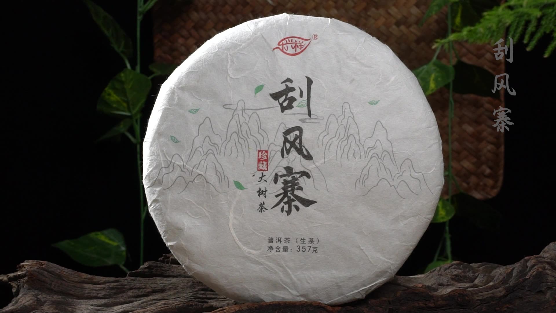 批发云南普洱 刮风寨 生茶饼 357克七子饼 早春茶 老树茶