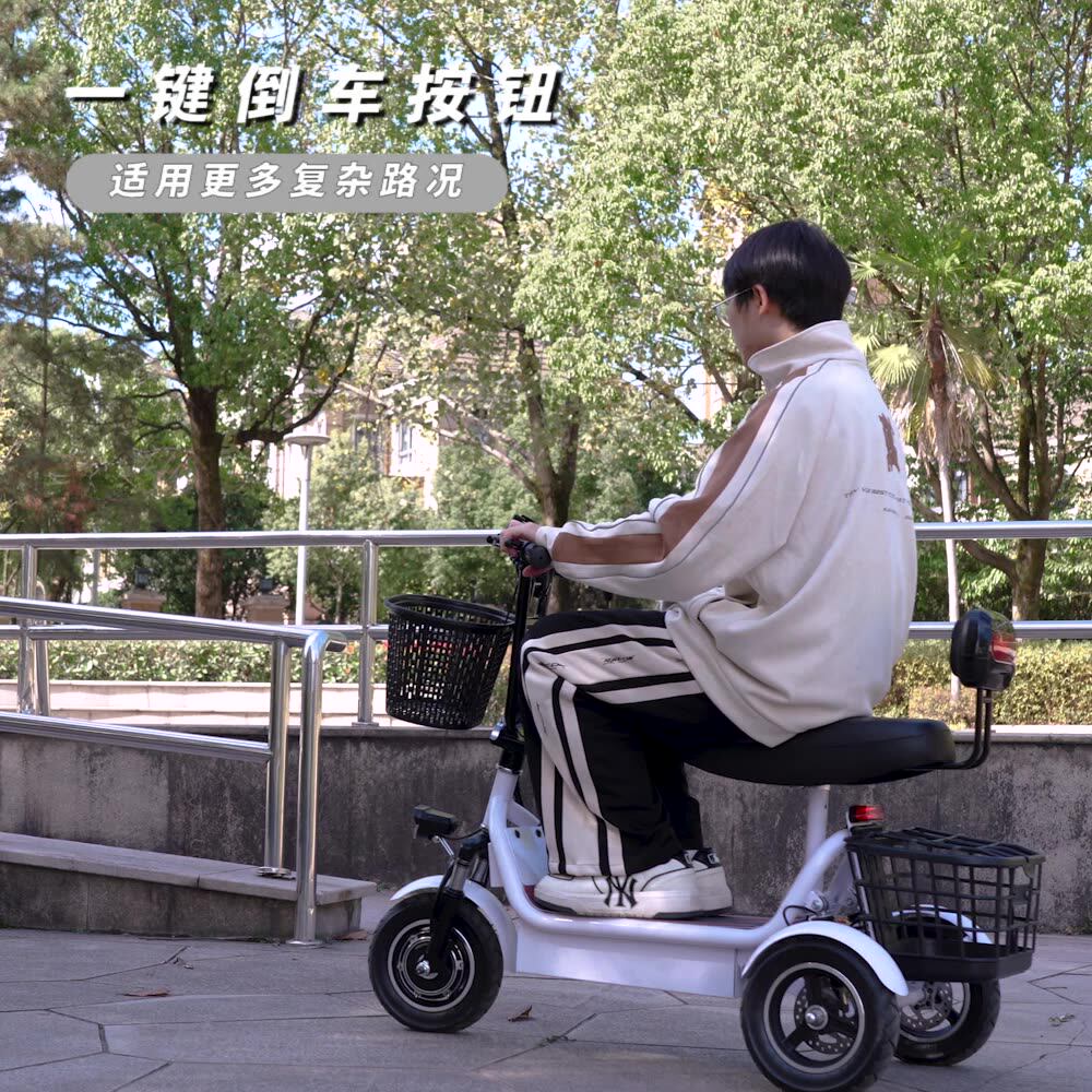 新款电动三轮车老人接送孩子家用小型代步车休闲电动三轮车外贸