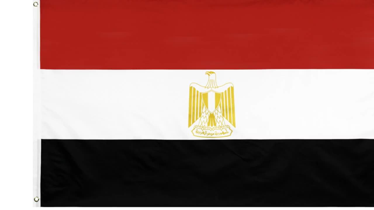 wholesale custom 3x5ft polyester banner national flag egypt