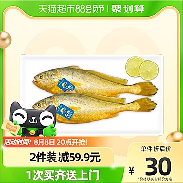 拍两件！三都港海鲜新鲜黄鱼2条装600g*2[3元优惠券]-寻折猪