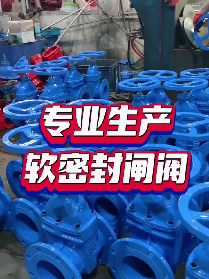 球墨铸铁手动闸阀真实抗造！老房改造救星✨