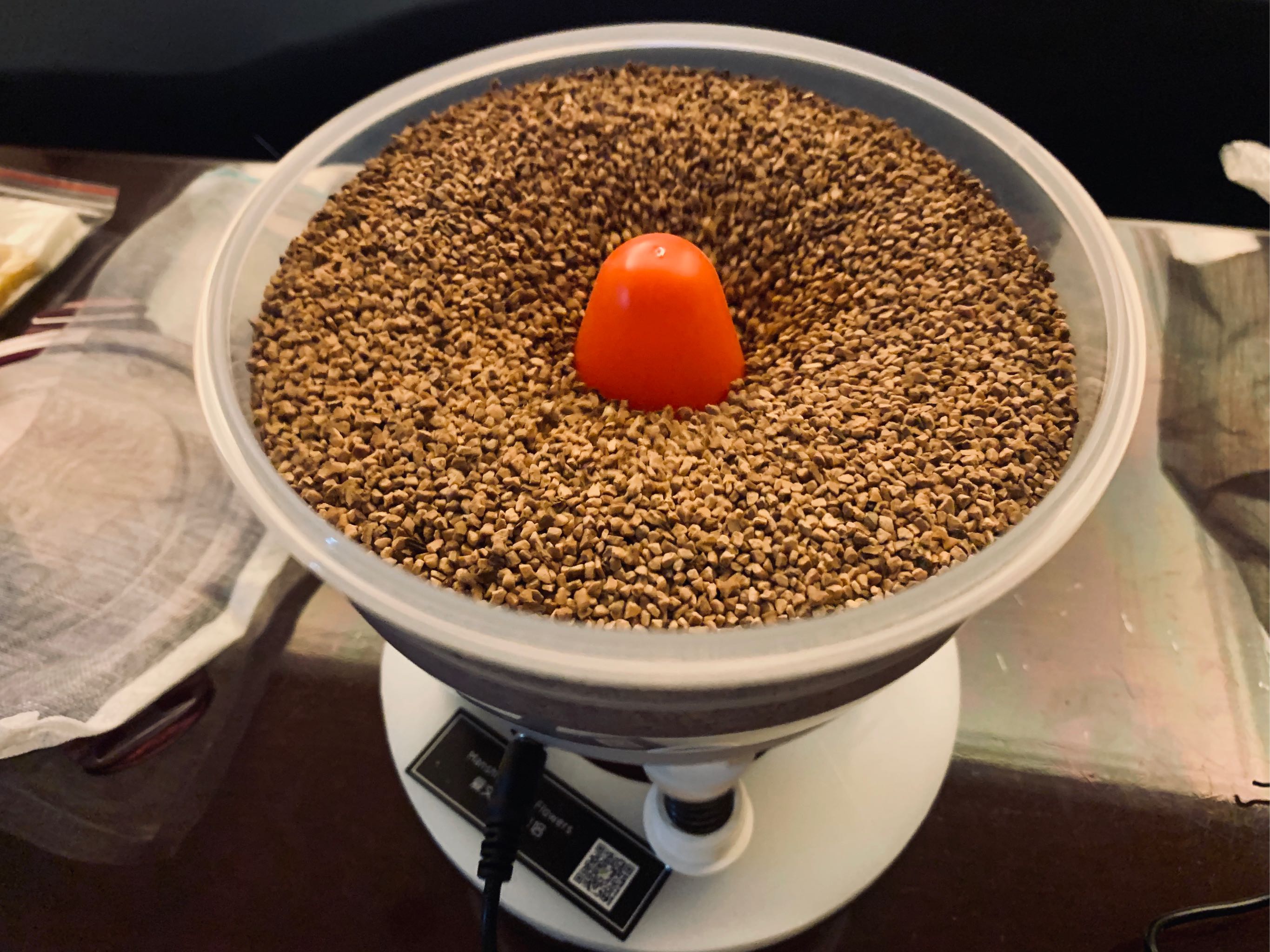 文玩抛光机性价比最高,使用一个月后真实上手体验,第2张 文玩抛光机性价比最高,使用一个月后真实上手体验,第2张
