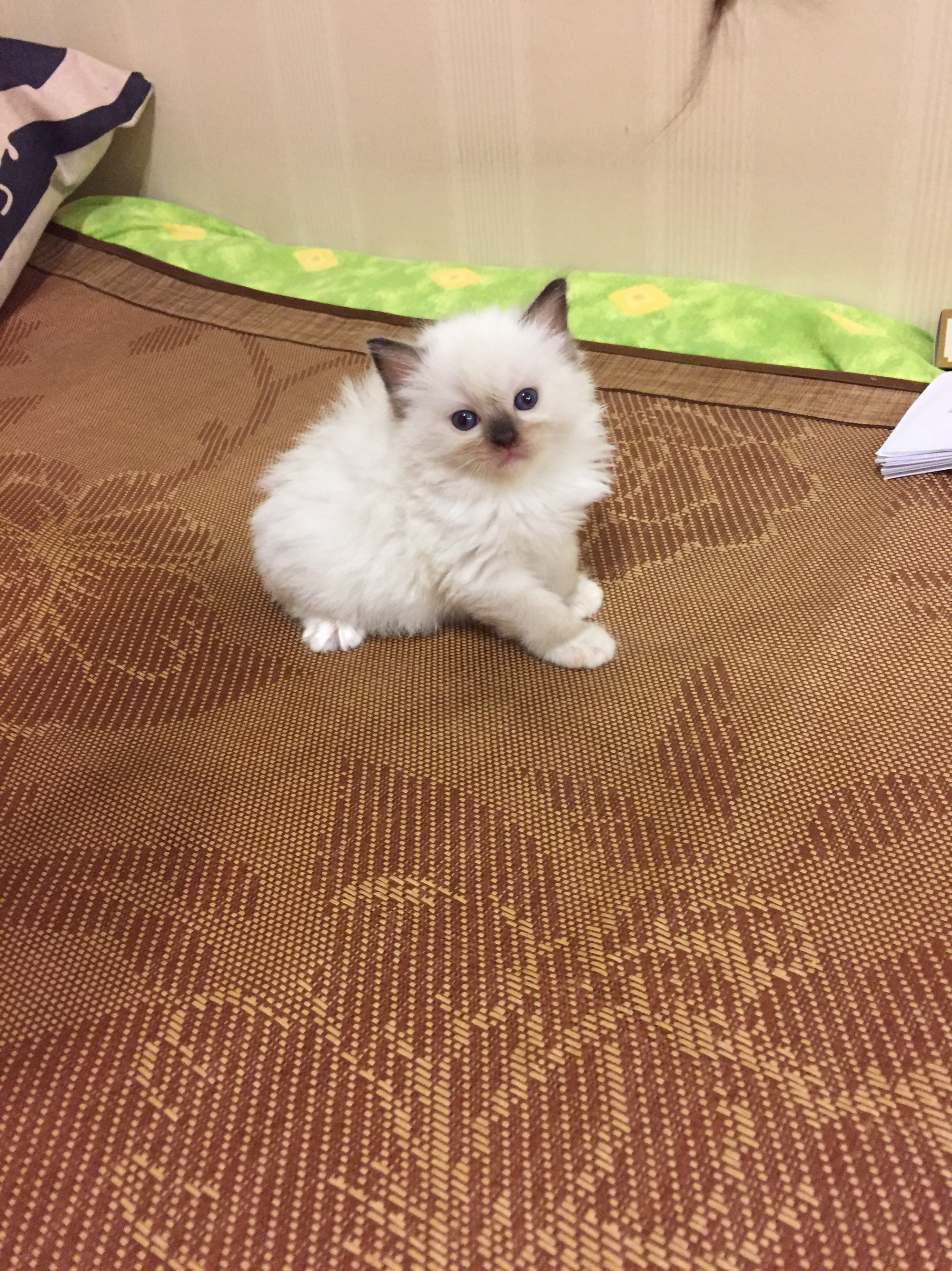 沈玮_18059的微博_微博